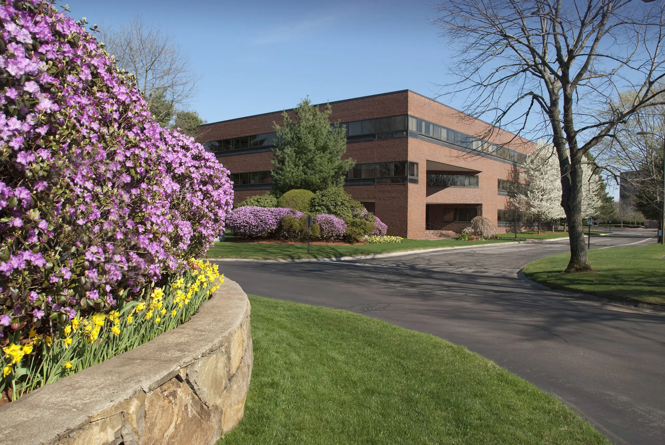 Mount Pleasant, South Carolina Commercial Landscaping Companies