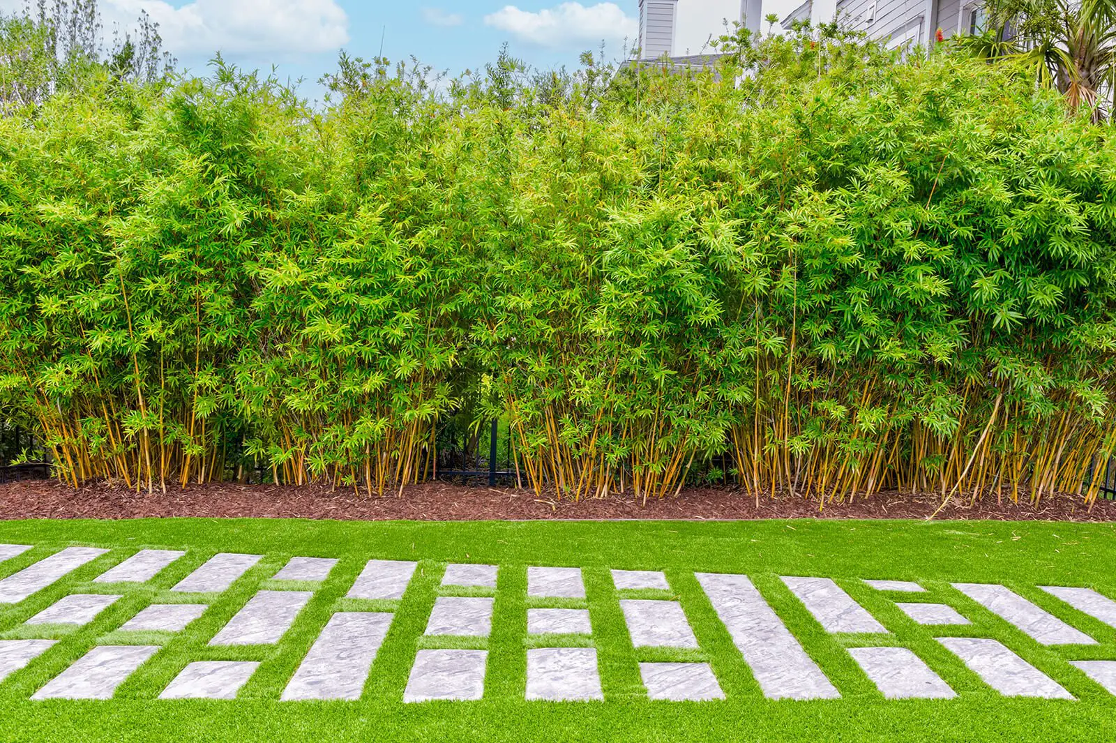 Mount Pleasant, South Carolina Landscaping Services