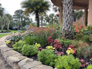 Daniel Island, SC Commercial Landscaping Services