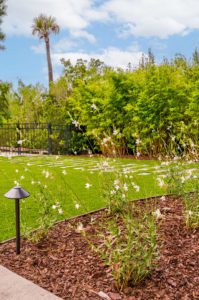 Low Maintenance Artificial Turf Installation in Daniel Island, SC