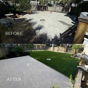 Backyard Full Landscape design