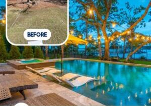 Landscape design services